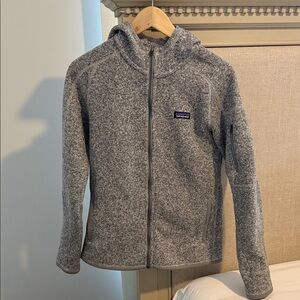 Patagonia Gray Full-Zip Hooded Jacket